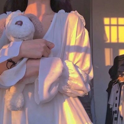 文豪野犬第三季